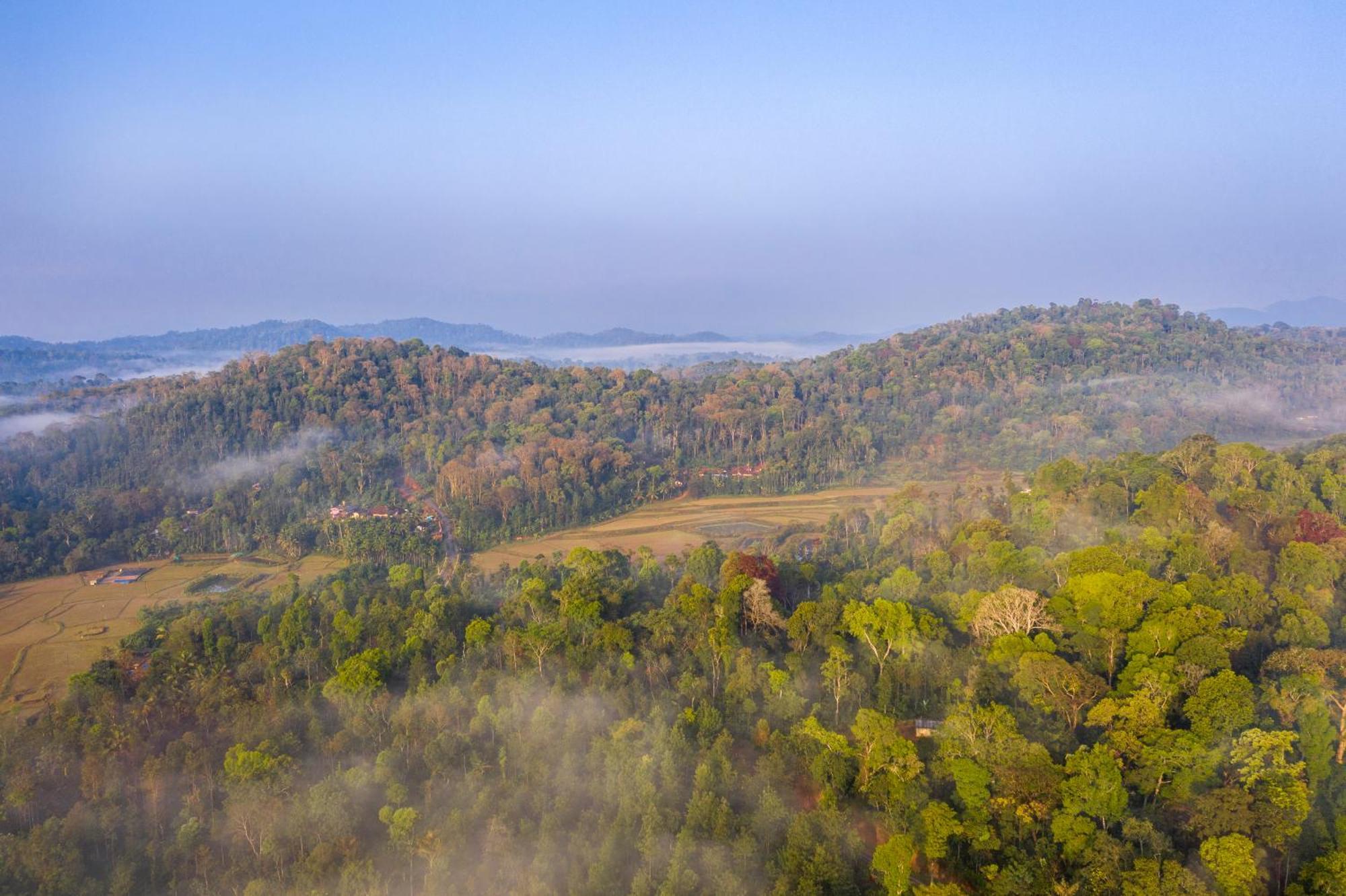 Ama Stays & Trails, Rare Earth Estate Madikeri Exterior foto