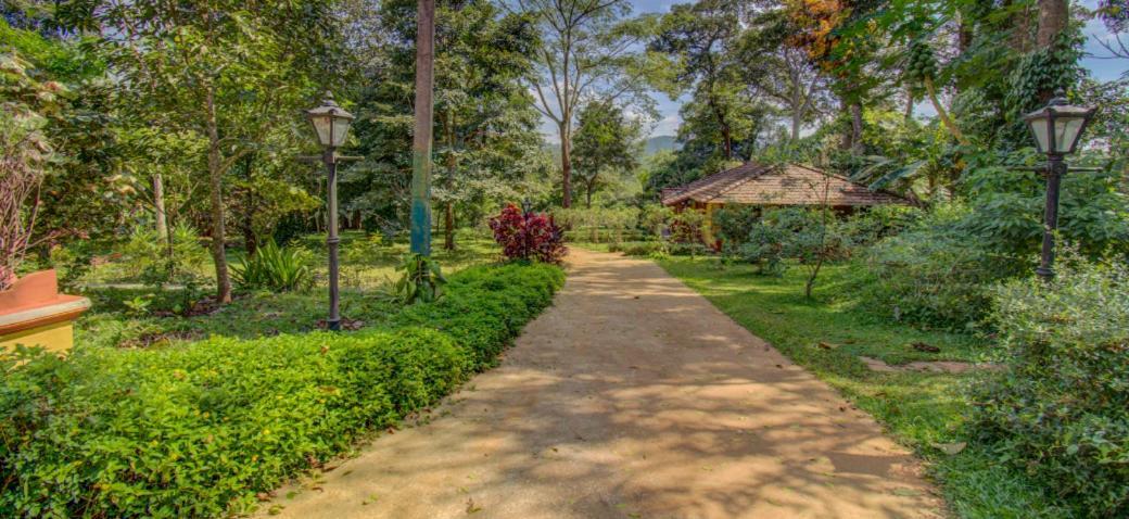 Ama Stays & Trails, Rare Earth Estate Madikeri Exterior foto